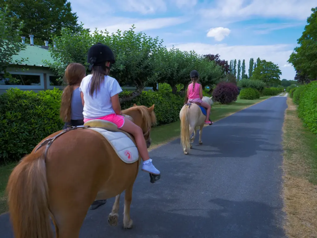 Enfants faisant une promenade à poney sur une allée verdoyante