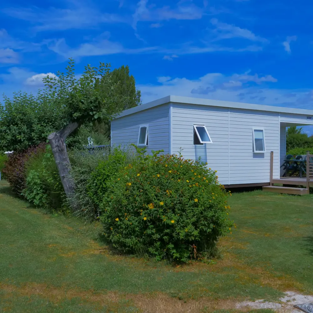Mobil-home blanc avec terrasse en bois dans camping verdoyant