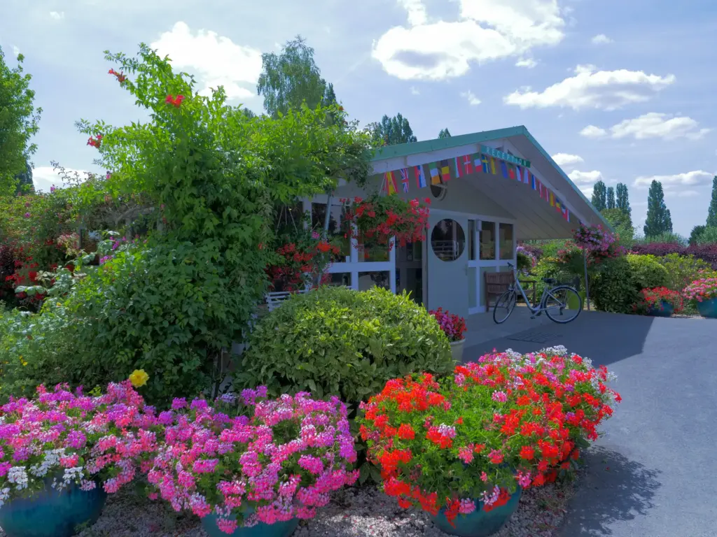 Réception de camping fleurie avec drapeaux internationaux colorés