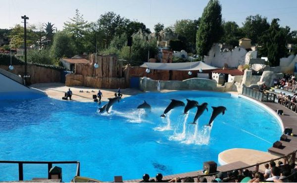 parc asterix (11)