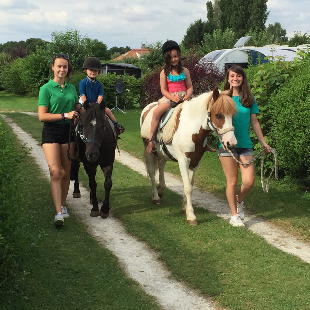 poney